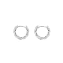 Boucles d'oreilles en argent sterling 925 (sans description)
