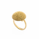 Anel em Prata Dourado - Elegância