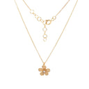 Conjunto Colar e Brincos Prata Dourada