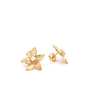 Conjunto Colar e Brincos Prata Dourada com Zircónias - Coleção Flower