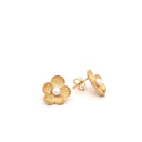 Conjunto Colar e Brincos Dourados com Pérolas - Coleção Flower